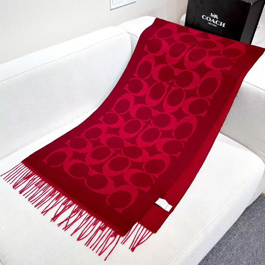 秋冬特惠💰240 蔻驰围巾新款大C字母 商品图0