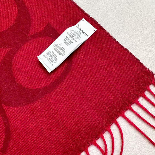 秋冬特惠💰240 蔻驰围巾新款大C字母 商品图8