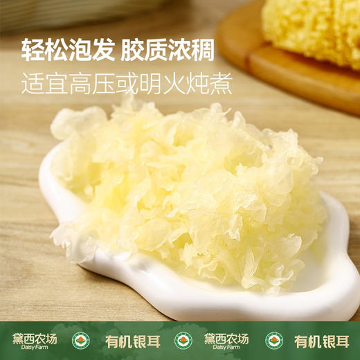 【黛西农场·小方盒有机银耳】年货节🔥新品首发❗国家地理标志古田出品❗天然有机认证，😍 有机银耳，福建古田干货特产 有机认证‼️0添加煲汤食材 纯净无污染 商品图3
