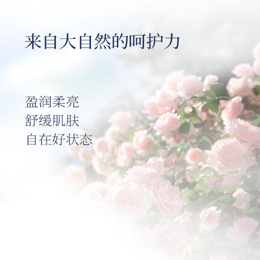【气味上海&美美上海专属】橪蜜爱养护精华油15ml*3 商品图2