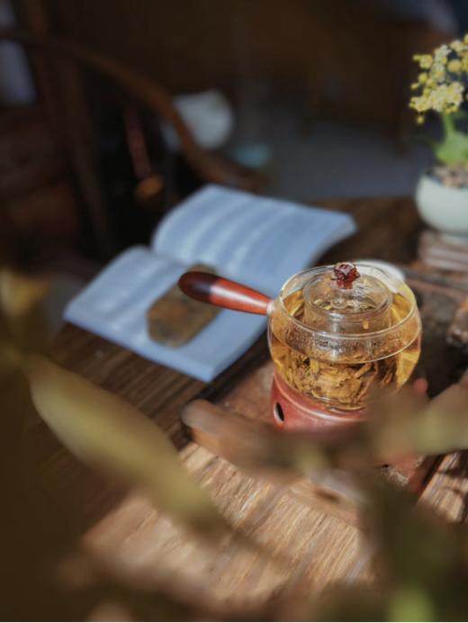 💥【强韵·抱富陈皮白茶】茶礼爆款！！开团价59.9元💰，性价比拉满！柑香清甜交织醇厚茶香，茶汤丝滑回甘持久 💯送礼有面儿，自饮养身，闭眼囤超划算！ 商品图2