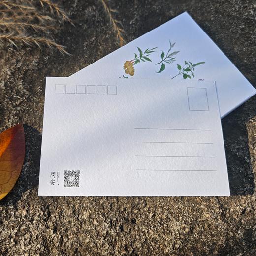 【问安原创】手绘药用植物明信片 商品图4