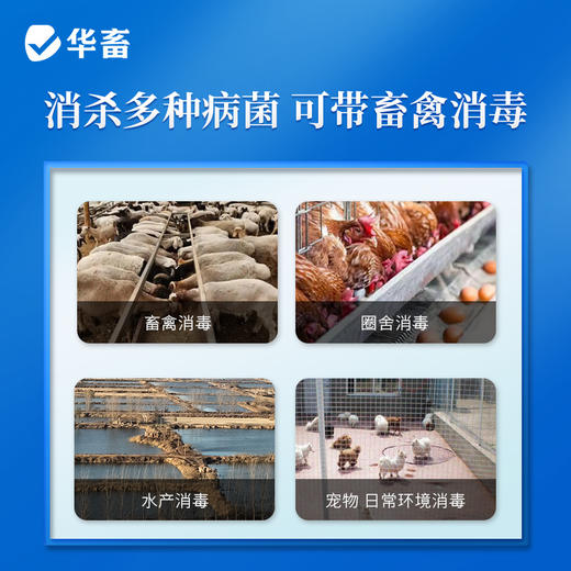 【积分兑换】华畜兽药 过硫酸氢钾复合物粉1kg  发明者评测过的生产企业 可带畜消毒 商品图1