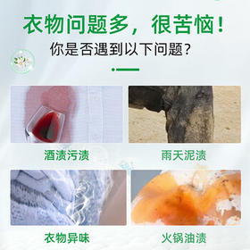 大公鸡管家（CHANTE CLAIR） 液态洗衣皂洗衣液1500ml 白苔香大公鸡洗衣液 意大利进口 /家庭清洁/纸品 /衣物清洁 /普通洗衣液