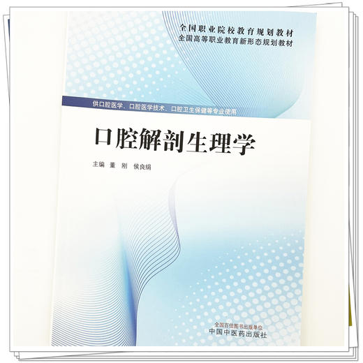 口腔解剖生理学 全国高等职业教育新形态规划教材 董刚 侯良绢 供口腔医学口腔医学技术口腔卫生保健等专业使用 中国中医药出版社 商品图4