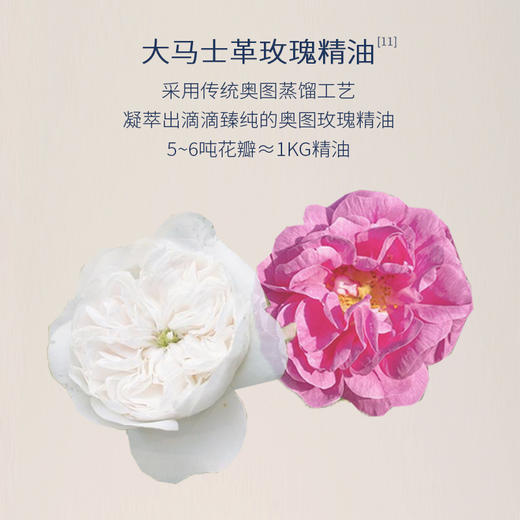 【气味上海&美美上海专属】橪茶语玫瑰精华油15ml*1+白玫瑰精露120ml*1 商品图4