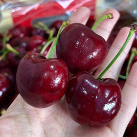 【智利进口车厘子】顺丰包邮 南半球“红宝石” 鲜甜脆嫩 汁水丰富 饱满圆润  果肉Q弹厚实 4种规格任选