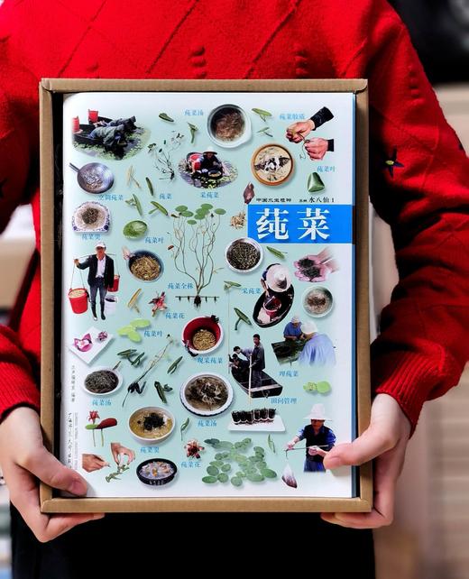 【特惠】《苏州水八仙：中国水生植物》，16开，全9册一盒装，汉声编辑部出品，上海锦绣文章出版社2012年一版一印，420面，定价198，售价75元。 商品图0