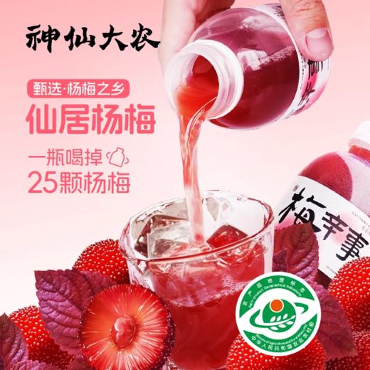 紫苏杨梅汁  1瓶杨梅汁=25颗地标杨梅  果汁含量≥ 60%  餐后来口杨梅汁 清甜润口 身心舒爽无负担 245ml*6瓶/箱 商品图0