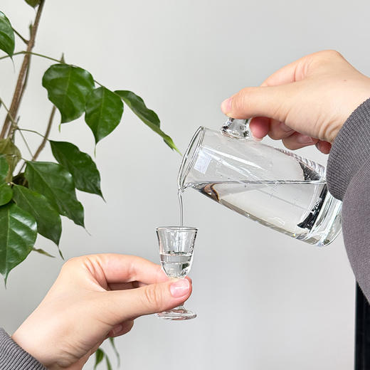 【新年预售：2月12日至2月24日停发】宜宾五粮液 马年感恩酒礼盒 商品图14