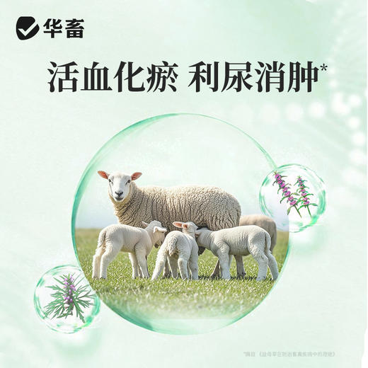 宫炎净100ml 产后冲洗排恶露 产后保健子宫清理 母畜消炎 商品图2