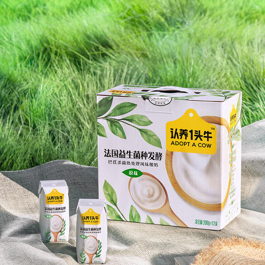 200钻原味酸12入 商品图0