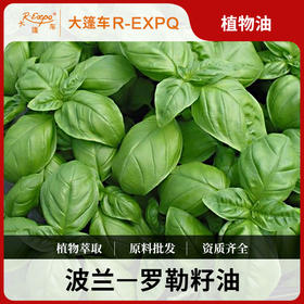 罗勒籽油 波兰原料批发 SPA按摩基础油按摩油 美容院开背基础油