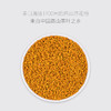 井冈山高山茶花粉210g  颗粒饱满金黄 独具茶香 商品缩略图2