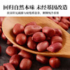人民 瓶装有机红皮花生320g 商品缩略图1