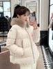 F011207冬季2025新款Laicheful 超大毛领羽绒服 商品缩略图3