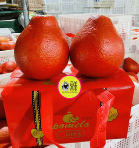 📦泰国暹罗红柚子【观赏香柚】好看不好吃2粒装礼盒💝