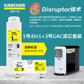 （WPD60/WPD65）系列净水器1+3节滤芯套组新款