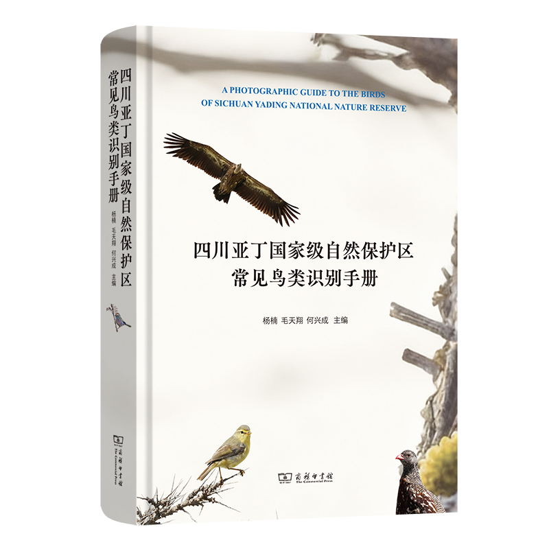 四川亚丁国家级自然保护区常见鸟类识别手册 杨楠 毛天翔 何兴成 主编 商务印书馆