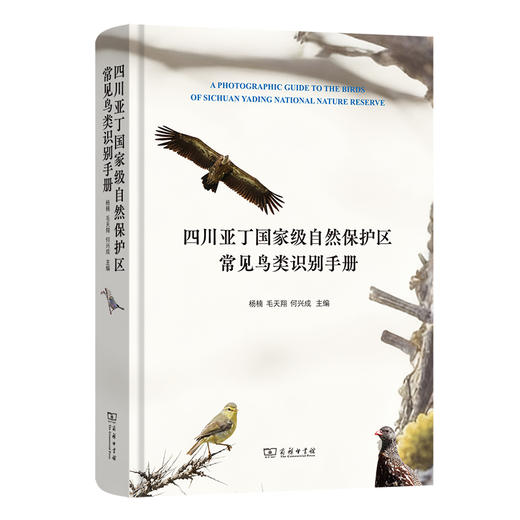 四川亚丁国家级自然保护区常见鸟类识别手册 杨楠 毛天翔 何兴成 主编 商务印书馆 商品图0