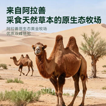 京东京造 鲜来多纯骆驼乳粉礼盒（300g*2罐）阿拉善奶源年货礼盒 /水饮冲调 /成人奶粉 /驼奶粉 商品图1