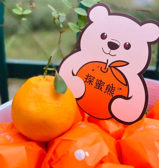 探蜜熊大雅柑|推荐一款柑橘，探蜜熊大雅蜜柑，限量版，柔软脆绿的皮轻轻一扯就全开了，里面藏着一片片的柔情蜜意，清新又温暖，难忘～ 商品图2