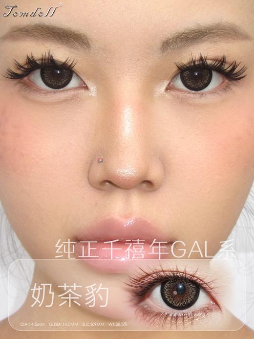 tomdoll半年抛 奶茶豹/巧克豹/雪豹 14.5mm 复古款！基弧8.9 商品图3