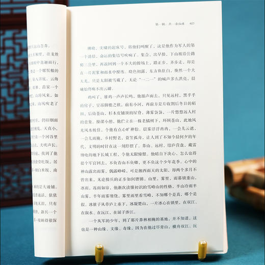 阅山河人文微型百科深度旅行文化指南治愈精神内耗散文鲁迅文学奖 商品图4