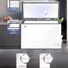 Haier冰柜BC/BD-303GHPDZ家商两用大冷冻柜303L大冻力3D逆循环商用冰柜 商品缩略图3
