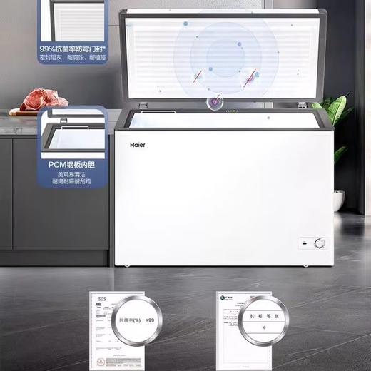 Haier冰柜BC/BD-303GHPDZ家商两用大冷冻柜303L大冻力3D逆循环商用冰柜 商品图3