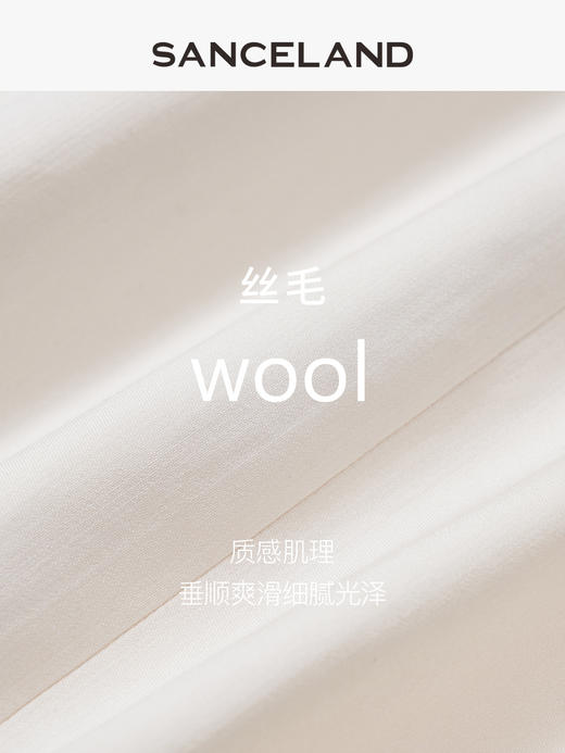 三石一澜SANCELAND女装春季丝毛半裙SK13103008 商品图2