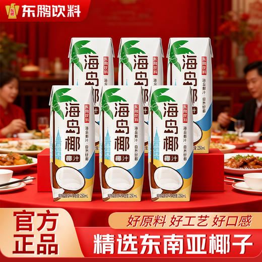 东鹏饮料海岛椰椰汁250ml*6盒植物蛋白饮料 商品图0