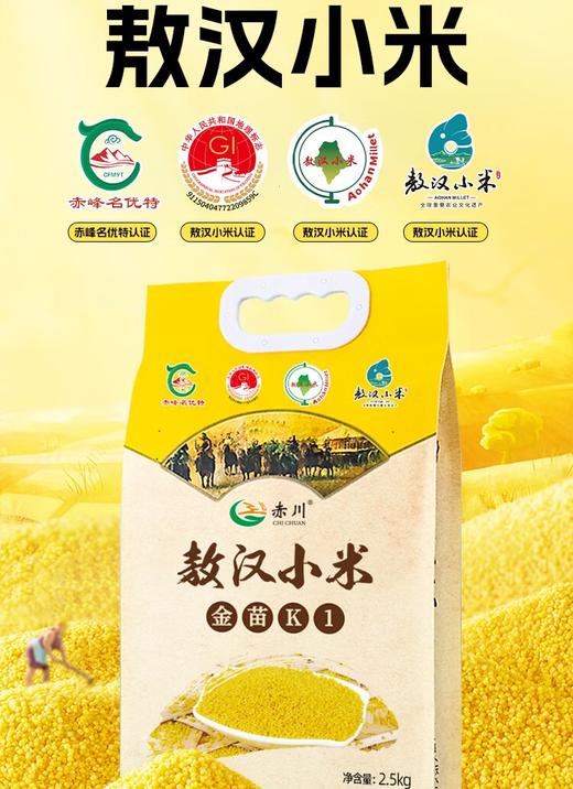 【金皇会员45金币专享】赤川敖汉黄小米5斤 25年新米金苗K1 内蒙古赤峰小米粥杂粮粥黄小米 商品图1
