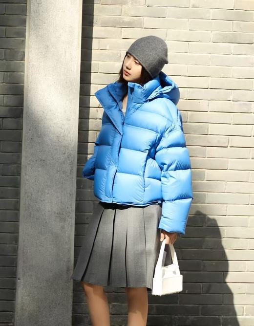 波司登同款三防同里同料时尚小龟背白鹅绒羽绒服 商品图1