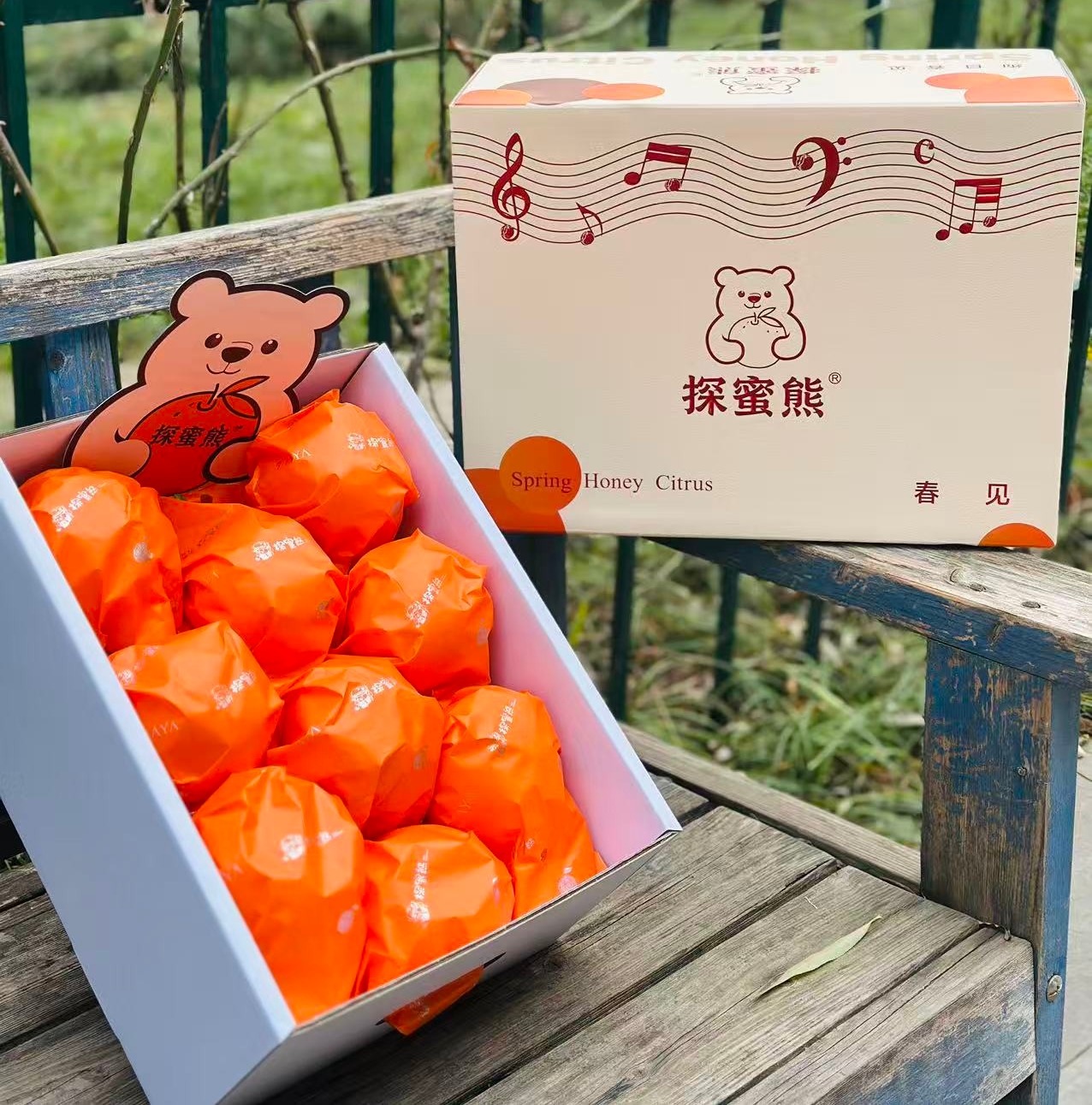 探蜜熊大雅柑|推荐一款柑橘，探蜜熊大雅蜜柑，限量版，柔软脆绿的皮轻轻一扯就全开了，里面藏着一片片的柔情蜜意，清新又温暖，难忘～