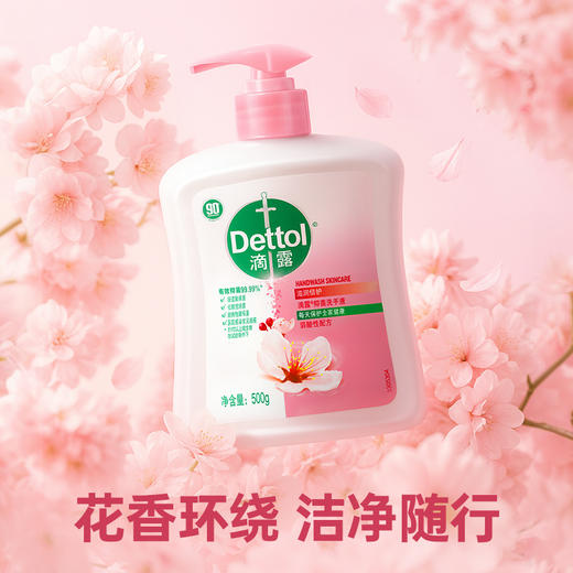 【滴露滋润倍护抑菌洗手液】99.99%抑菌率 多重滋润洗后不拔干 商品图6
