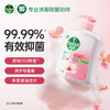 【滴露滋润倍护抑菌洗手液】99.99%抑菌率 多重滋润洗后不拔干 商品缩略图1