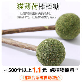 猫咪薄荷棒棒糖 单支装木天蓼去毛球助消化洁齿猫咪玩具猫零食