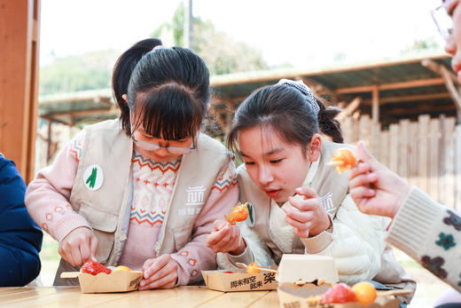 【智行研学】寒假研学营！ 商品图2