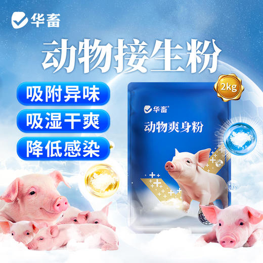 华畜接生爽身粉4斤装 产仔消毒常备 吸潮干爽 舒缓修护 干爽止血 降低感染 商品图0