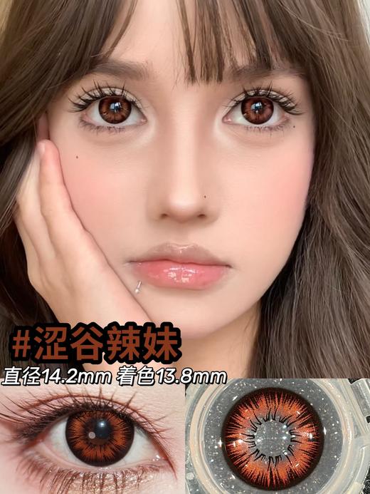 tomdoll半年抛 燕尾 蓝/夜莺/涩谷辣妹 棕灰红 14.2mm 商品图2