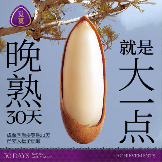 觅菓A+级晚松阿富汗大手剥松子238g*2罐  MG 商品图3