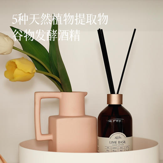 【cocodor家用香薰】室内香薰  专业20年香薰品牌 让生活充满香气~湖州仓 商品图1