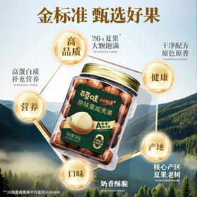 百草味本味甄果高端夏威夷果500g 每日坚果休闲零食干果罐装团购送礼