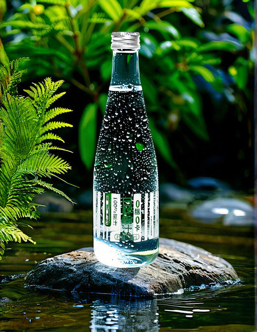 白桦树汁 商品图2