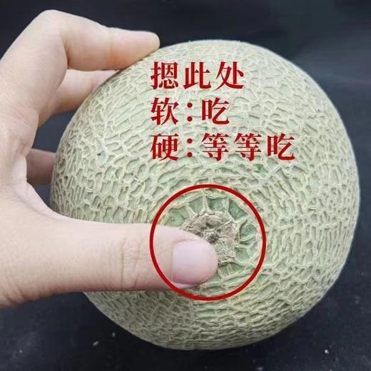 口感软绵！香馥纯甜的海南玫珑瓜！入口像冰淇淋一样丝滑！蜜瓜中的“哈根达斯” 商品图6