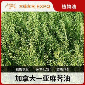亚麻荠油加拿大进口原料批发身体基底植物基础精华油Camelina Oil