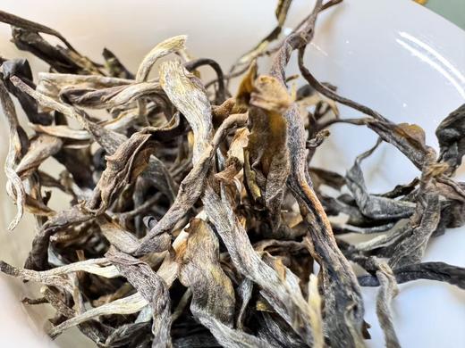 2025春  曼松贡茶 生普洱 50克起 商品图5