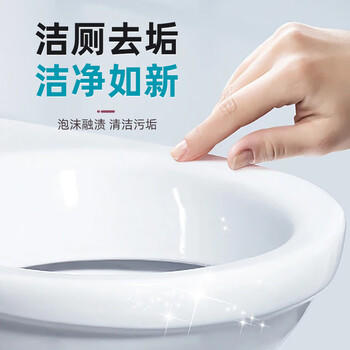 CHANTECLAIR大公鸡管家 马桶清洁剂(漂白) 洁厕液 洁厕灵去黄除臭  625ml /家庭清洁/纸品 /家庭环境清洁 /洁厕灵 商品图0