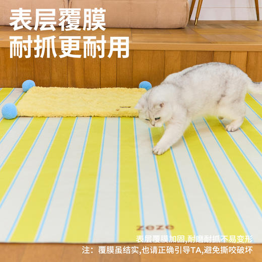 防水多功能地垫（包邮）-B 商品图1